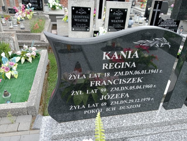 Franciszek Kania Radzyń Podlaski - Grobonet - Wyszukiwarka osób pochowanych