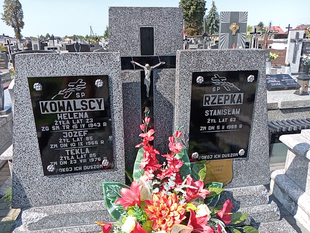 Jadwiga Rzepka Radzyń Podlaski - Grobonet - Wyszukiwarka osób pochowanych